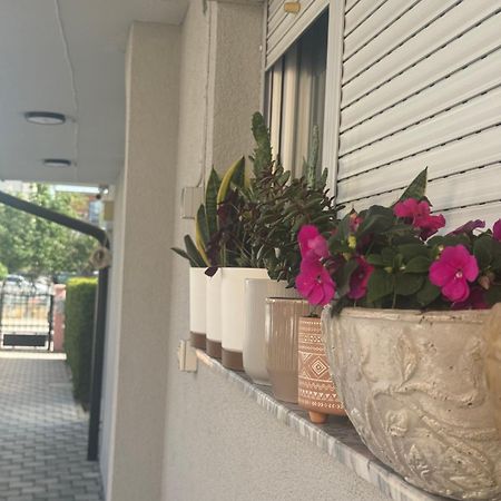 Vila Bolonja Struga Eksteriør billede