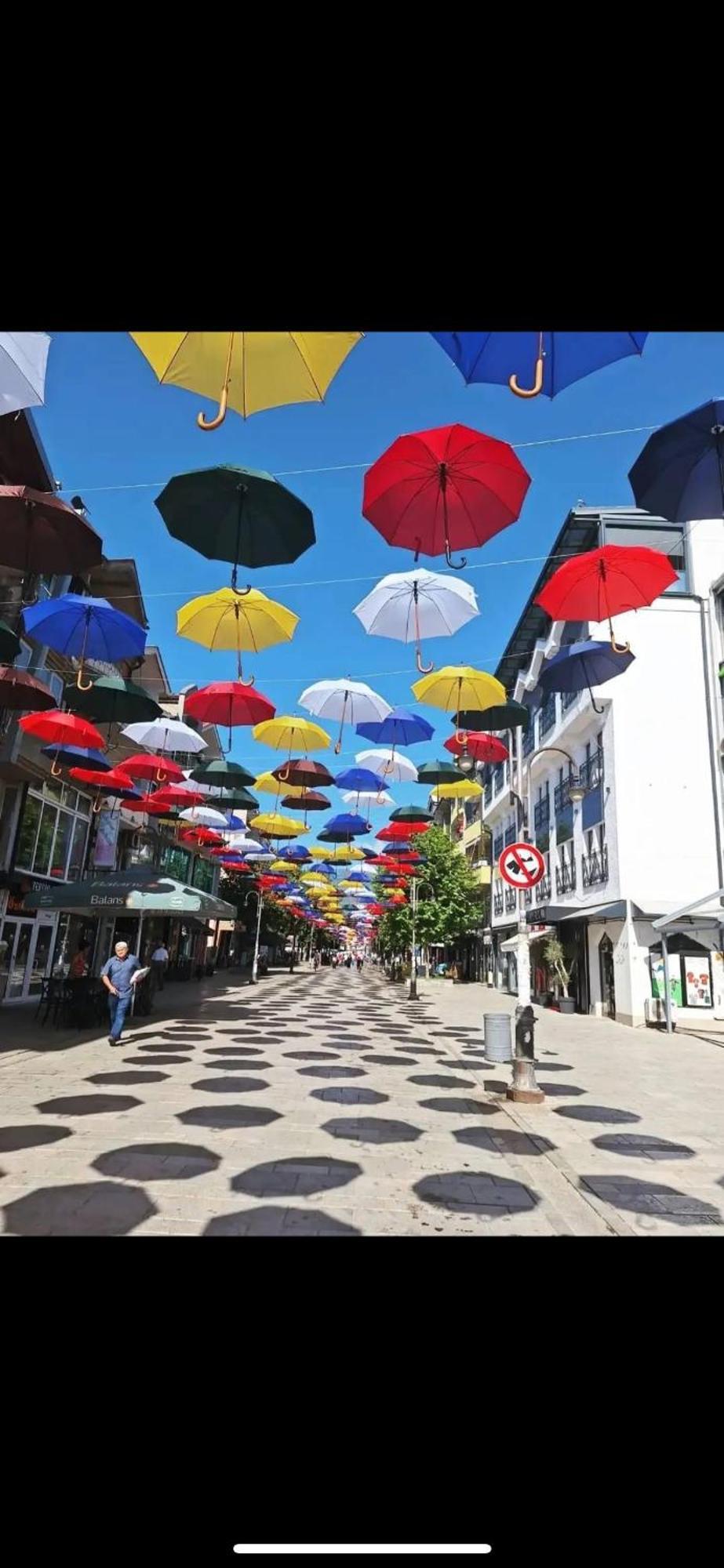 Vila Bolonja Struga Eksteriør billede